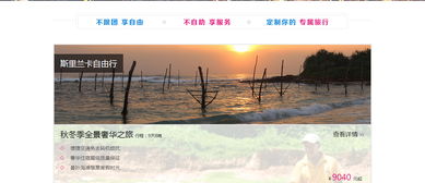 旅游电商系统,b2c电商网站 泽创科技 开发 猪八戒网
