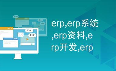 ERP系统开发 从概念到实现的完整指南