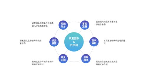 低代码技术在B2C系统研发团队中的应用模式探讨